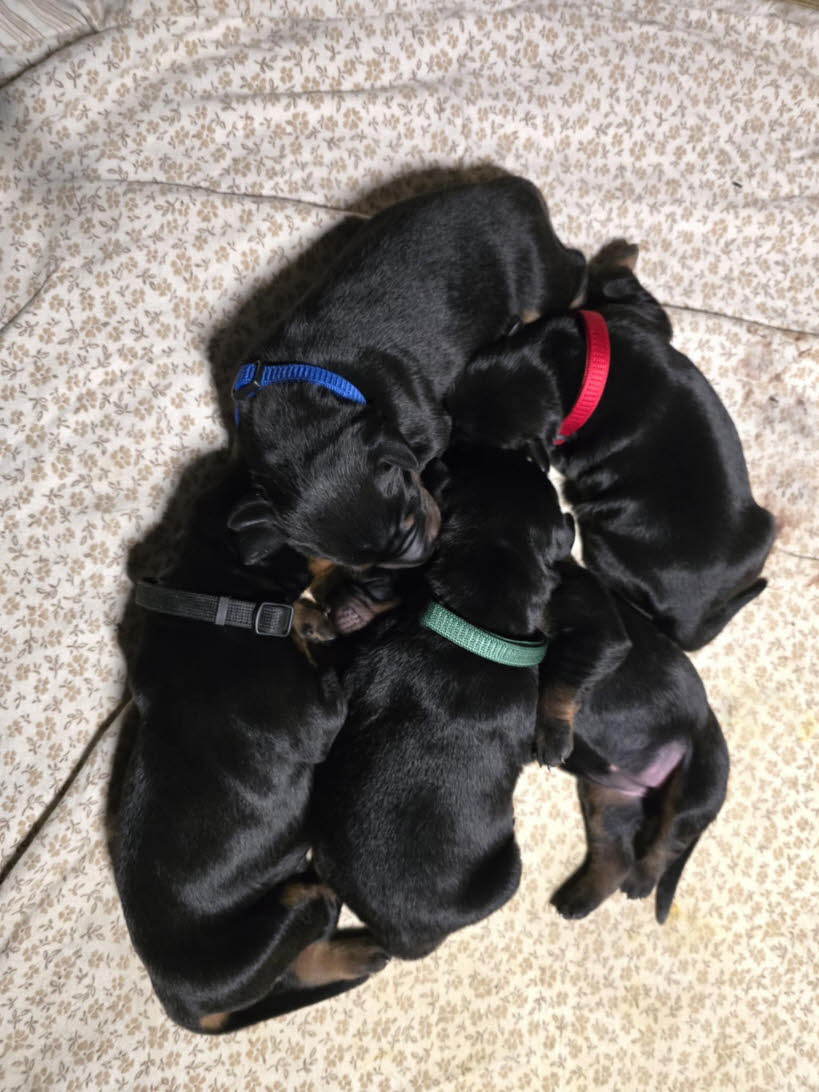 7d4cbb38-b0da-407f-939d-916c7e762e8a