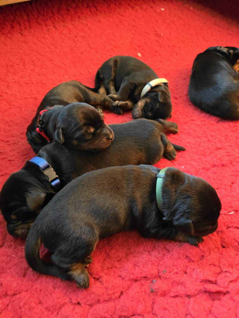 8d242478-100e-4b9a-9d53-a1cb83739227