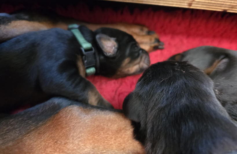 93481843-cf52-407d-b6c9-5d4f2b99c8e3 (1)