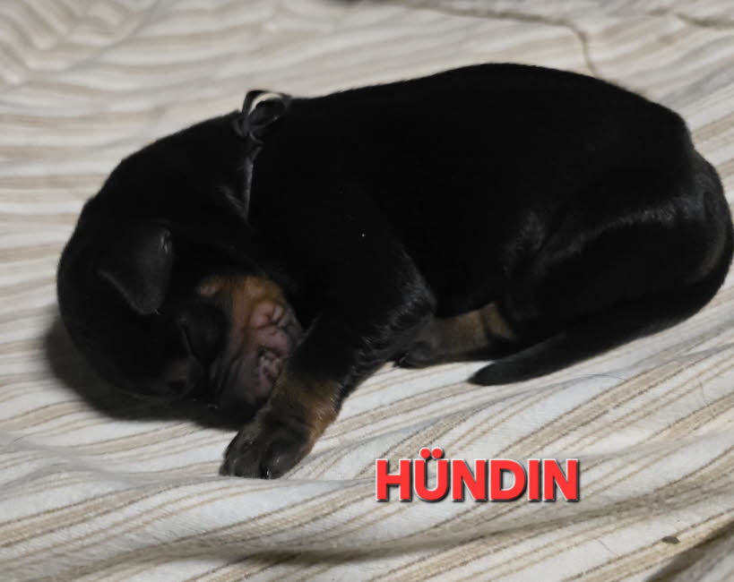 964214bb-8cf7-4815-b4e7-d49749e66d32