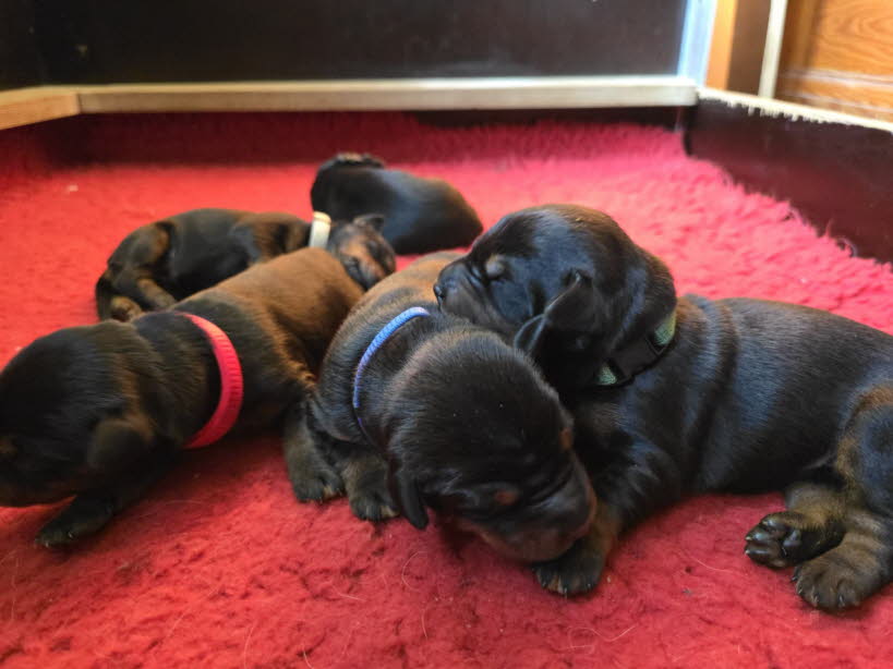 9ba35d2a-fbc2-4c27-8473-91f769e1a56b