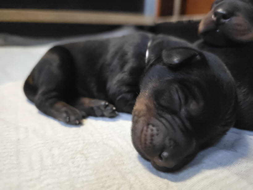 9d399341-312a-44e6-91ae-c4d1c998e833