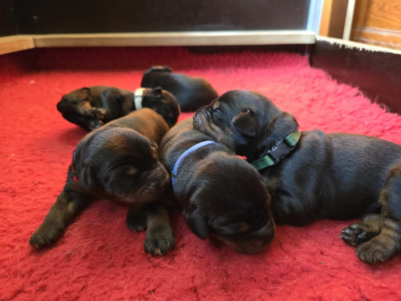 a27c77d5-4995-4206-b736-734267d77610