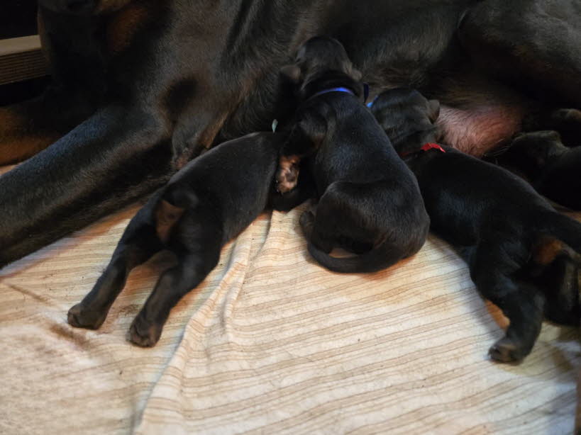 a99d9308-0834-4c92-ae7c-bc216383a925