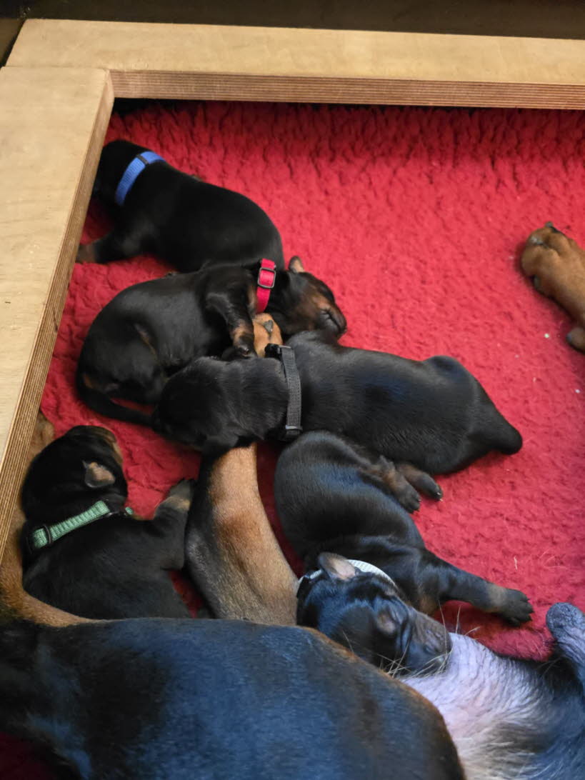 b52f16d4-5635-499e-9270-de887fb0fc99