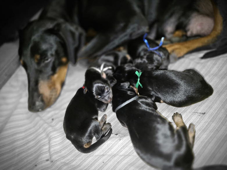 b6e43e22-86ad-4e92-9942-92540e7d1643