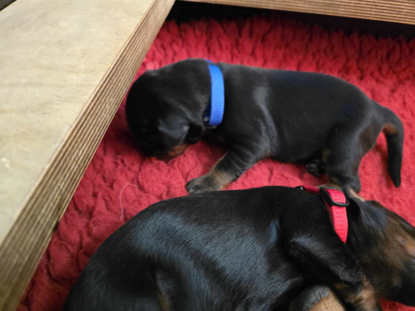 b8b08780-2ee3-4c6a-82f6-3e9a7f53c1de