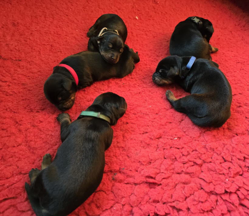 c2a57610-32a8-4846-be82-0793c00beb09