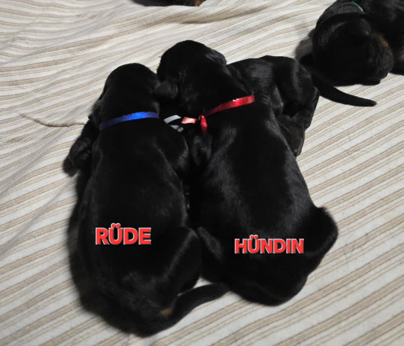 c4a8fdb8-3c58-4cbb-af82-91271e4a26a0