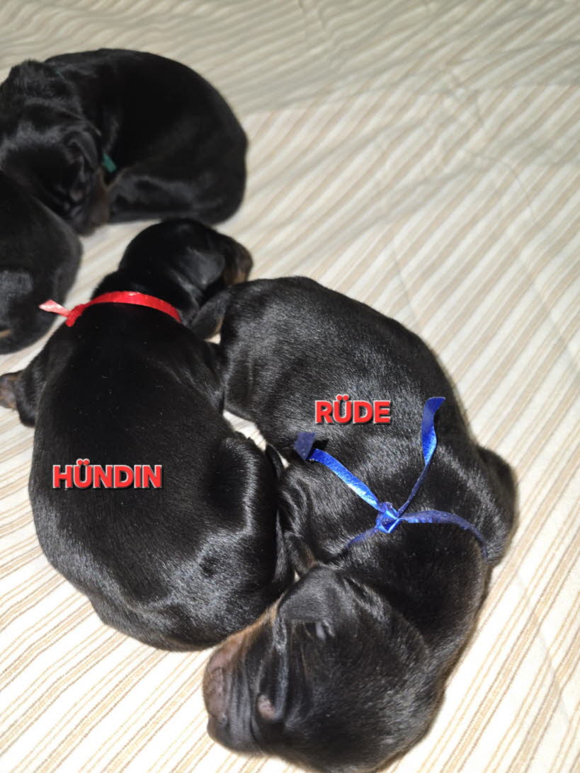 c4fdb520-ea1a-4473-86fc-d41feb80d7d8