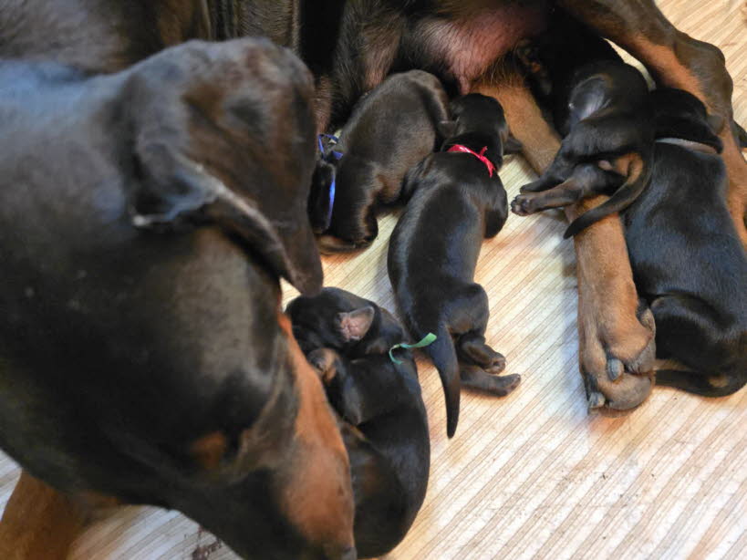 c91da23f-dfb2-4877-a66c-ebe462ea0797