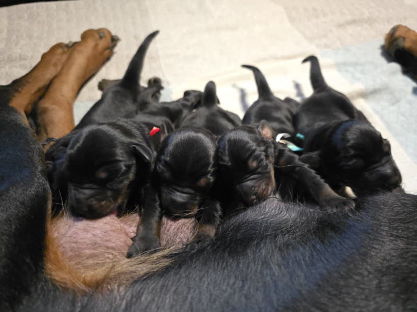 ce8e6711-1c4f-4689-8b43-85eb5c1144c1