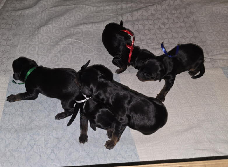 d06eee6e-d78c-4ad7-ba5d-5adc582f098a