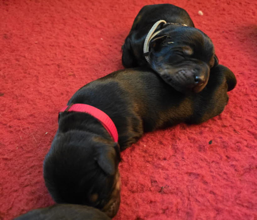 d7bb2b7b-1a0a-4124-89a5-adc1ffd6a353