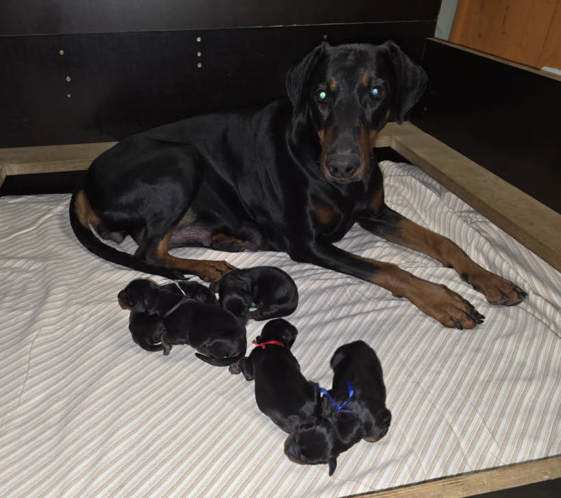 e2e4b29d-901e-48ac-a855-1850c1680bc8