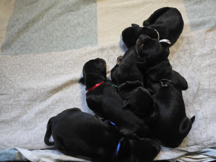 ebd754ec-49a9-4e55-a3f8-21374853cd91