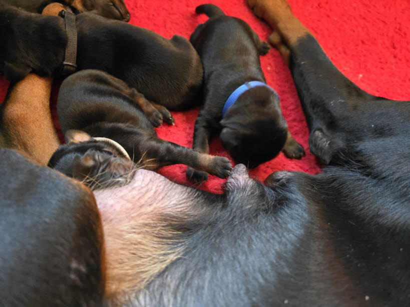 ec1d216b-8058-44c4-a27d-ef6071f8b723 (1)