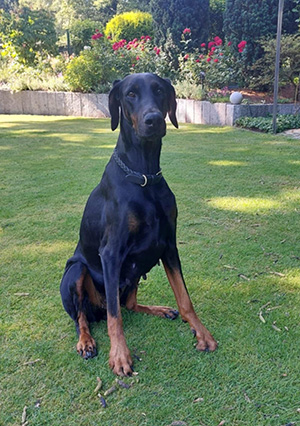 dfa6a0a7-9b3b-4b7a-a691-f5b69ea1fd60