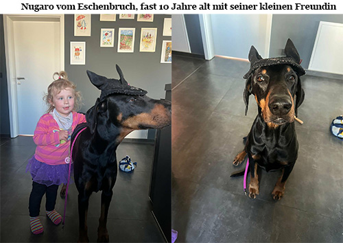 neu Juni 2026 neu Juni 2026