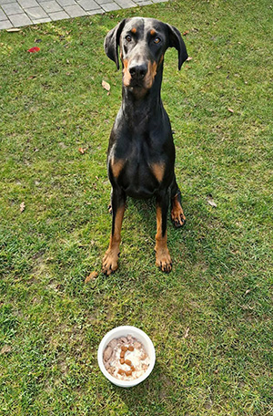 10029443-49dd-45a3-9dc7-092c1289859a