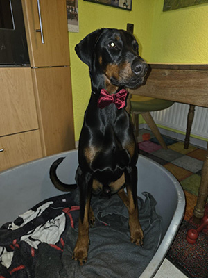 3773e0be-30a9-427b-8373-646c6e97cd05