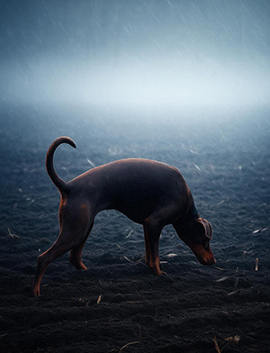 585715989_26183057067951053_4285284369877649339_n