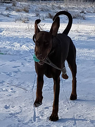 605852801_25960245490245727_92871441840981848_n