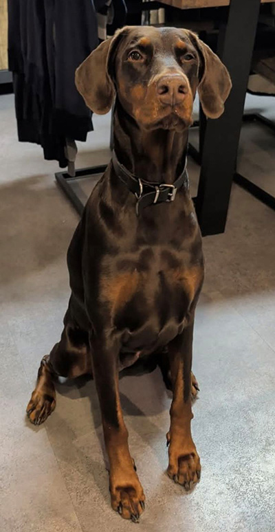 607495729_25731292896503328_8602855394982355311_n