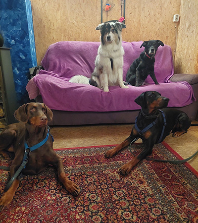 607995980_3077091522489907_819248935322929949_n