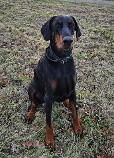 608071958_2065756287596102_9152822997941971683_n