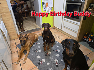 616167914_25479987878338656_751123394029225249_n