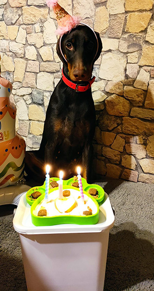 616213517_25480120064992104_5715593685787981120_n