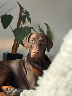 622396142_10235941894200022_2936173365815376727_n