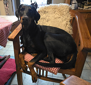 625192379_25600341419636634_4374820579421363287_n