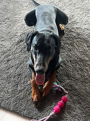 625402881_2266030370591767_7349461881267000186_n