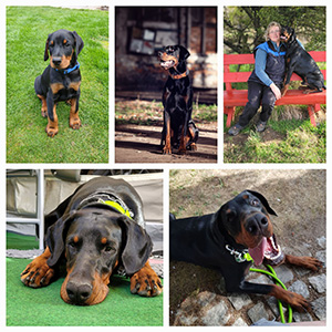 644398856_4468145646753087_932758039410897852_n