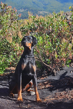 647387808_25915347474802692_3042123040811813414_n