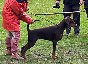 e39b40f9-4d68-4c7d-9a43-fe5bb86fbe63