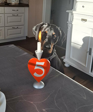 f5390229-3536-4696-8644-14c0c5232118